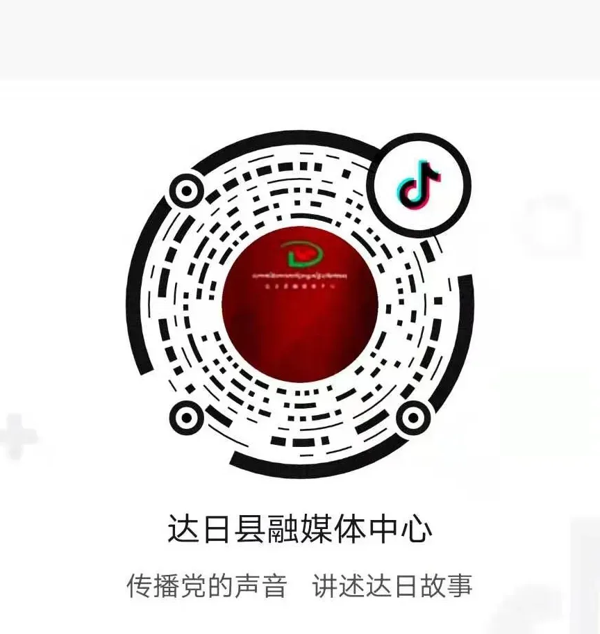 达日县开展文化市场专项检查