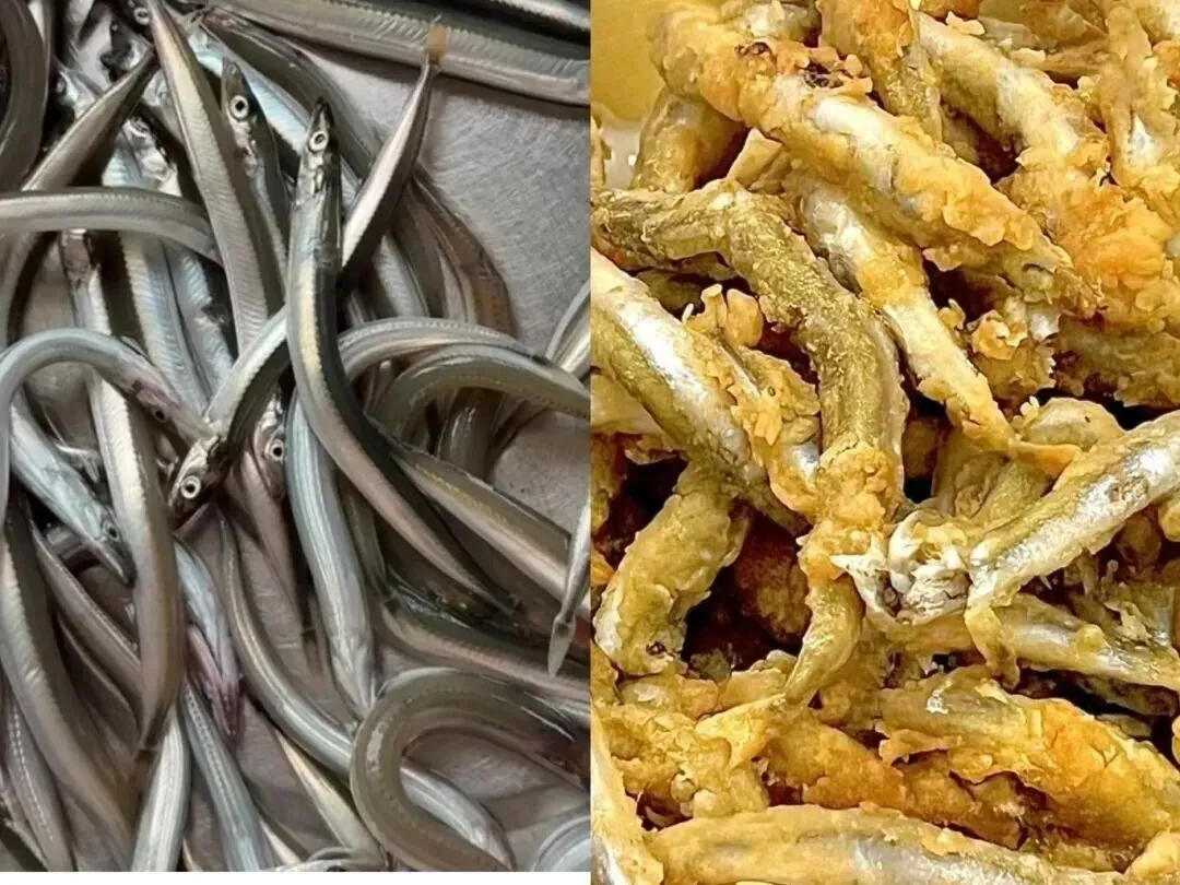 市场上这5种鱼,目前无法人工养殖,都是野生鱼,价格便宜营养高