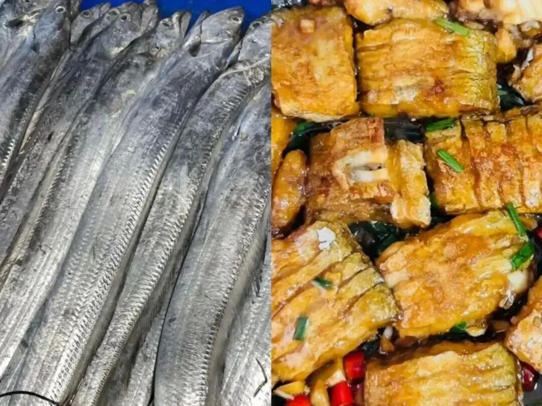 市场上这5种鱼,目前无法人工养殖,都是野生鱼,价格便宜营养高