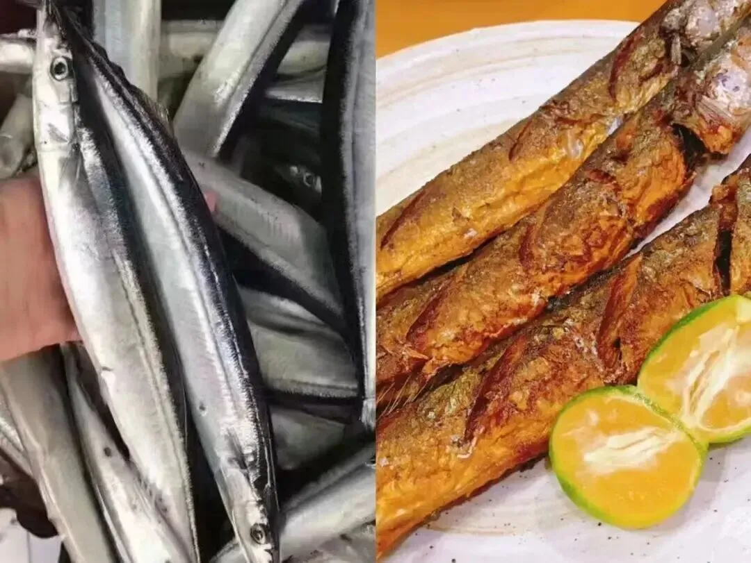 市场上这5种鱼,目前无法人工养殖,都是野生鱼,价格便宜营养高