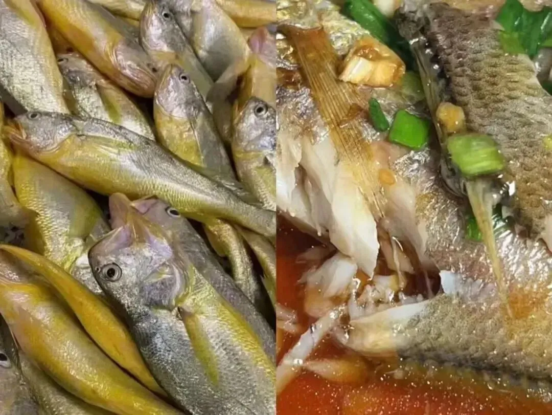 市场上这5种鱼,目前无法人工养殖,都是野生鱼,价格便宜营养高