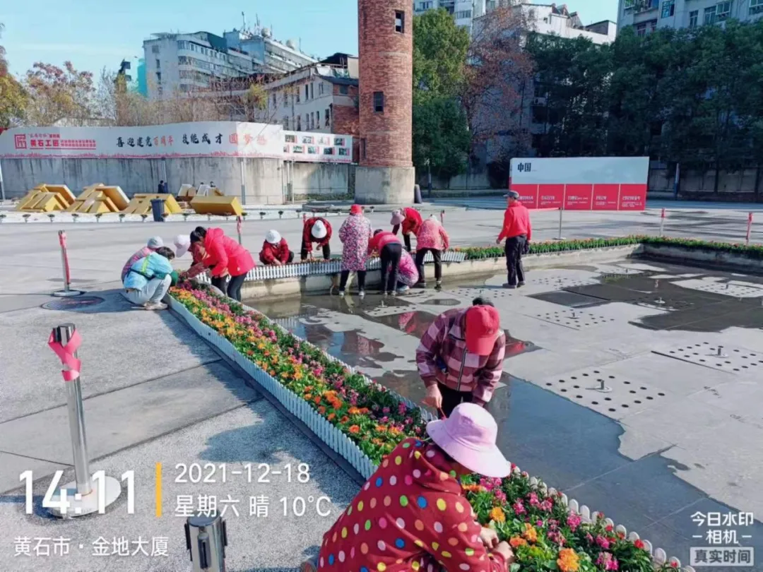 主动营销 逆势发展 | 花卉大观园承接“第三届工业遗产保护与利用高峰论坛”花卉布置工作