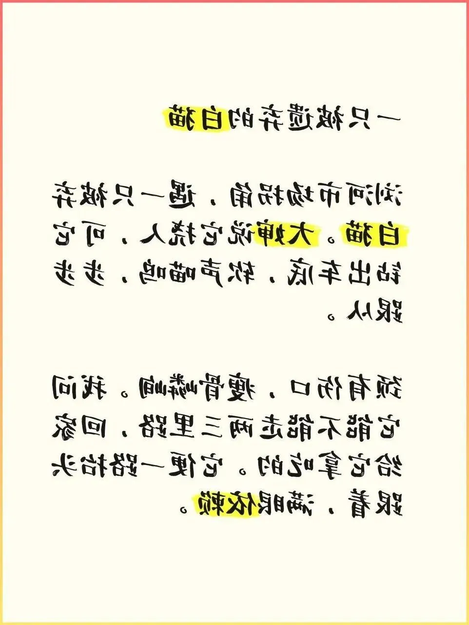 浏河市场那个拐角,我经过了三个月,才终于看见那只白猫.