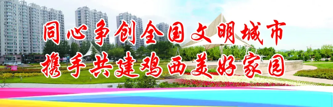虎林市 整治农资市场保春耕