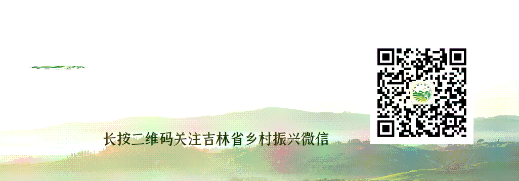农业农村部市场与信息化司司长雷刘功:多措并举促进粮食等重要农产品价格保持在合理水平