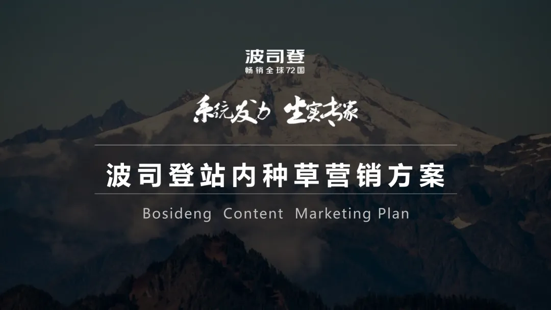 波司登站内营销方案