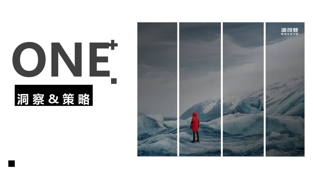 波司登站内营销方案