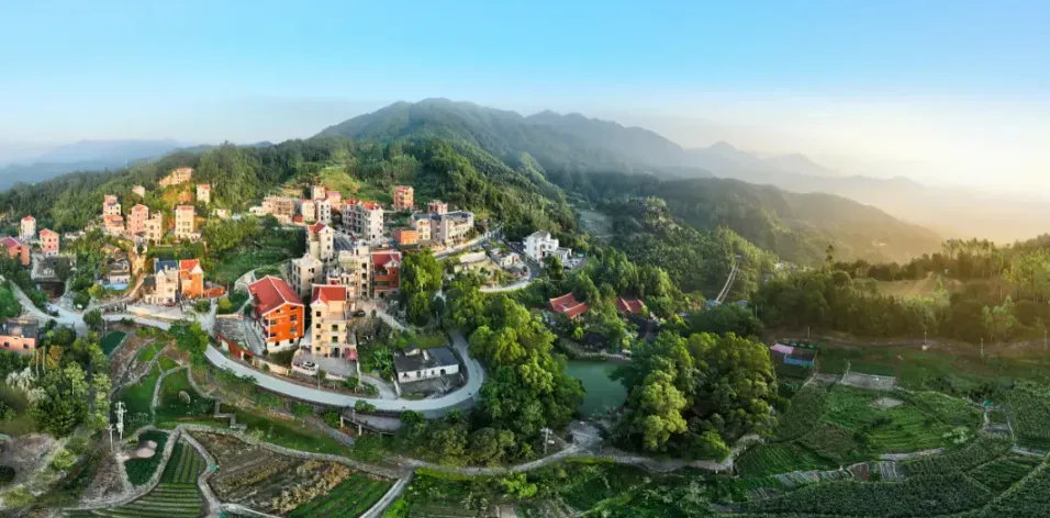 汀溪镇:全域旅游再升级,市场口碑双丰收!