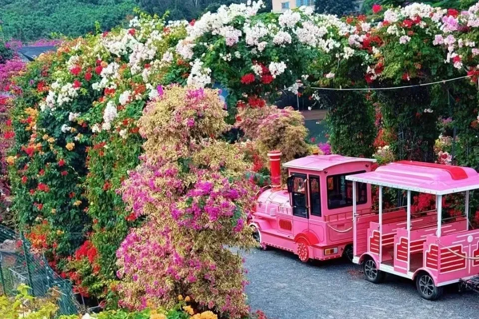 汀溪镇:全域旅游再升级,市场口碑双丰收!