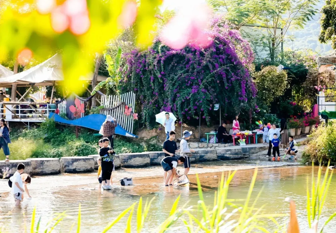 汀溪镇:全域旅游再升级,市场口碑双丰收!