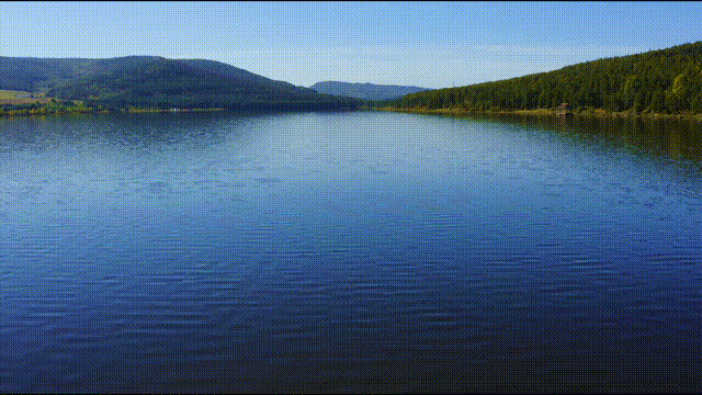 【公告】双鸭山市市场监督管理局岭东分局关于公开征集网络餐饮食品安全违法违规问题线索的公告