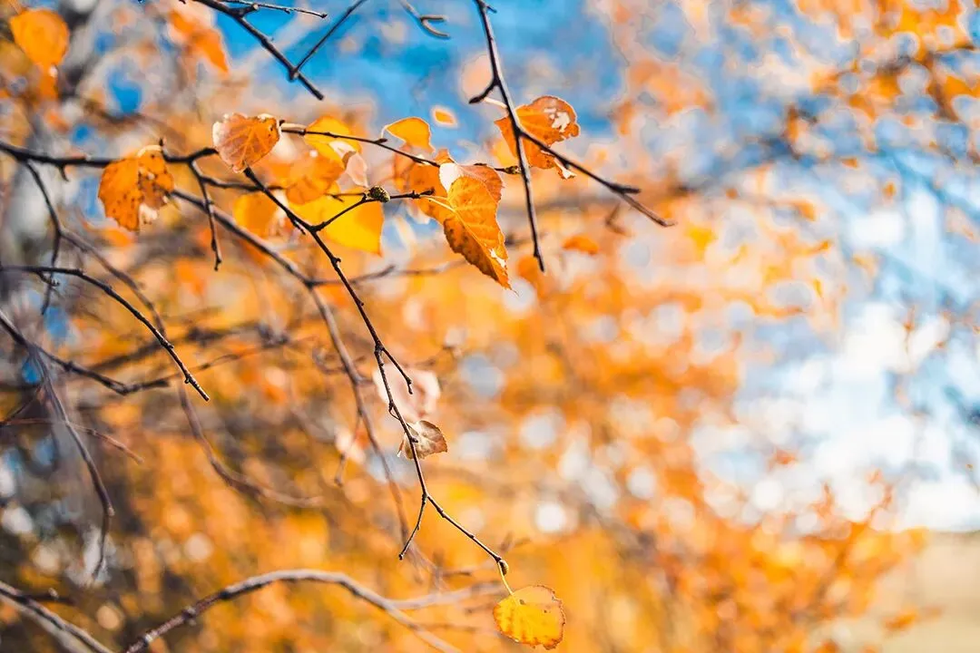 1450亿市场大爆发:未来五年,心理咨询行业将迎来“黄金时代”还是“大洗牌”?