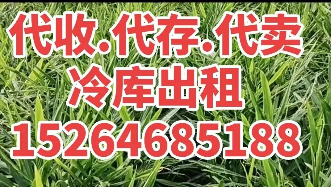2026年3月18日中午安丘市场,落价一毛钱左右.