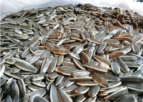 陕西省市场监督管理局关于11批次食品不合格情况的通告(2026年第4期)