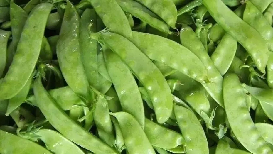 陕西省市场监督管理局关于11批次食品不合格情况的通告(2026年第4期)