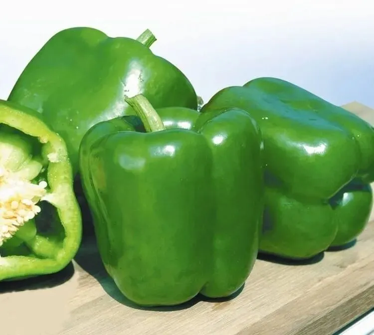 陕西省市场监督管理局关于11批次食品不合格情况的通告(2026年第4期)