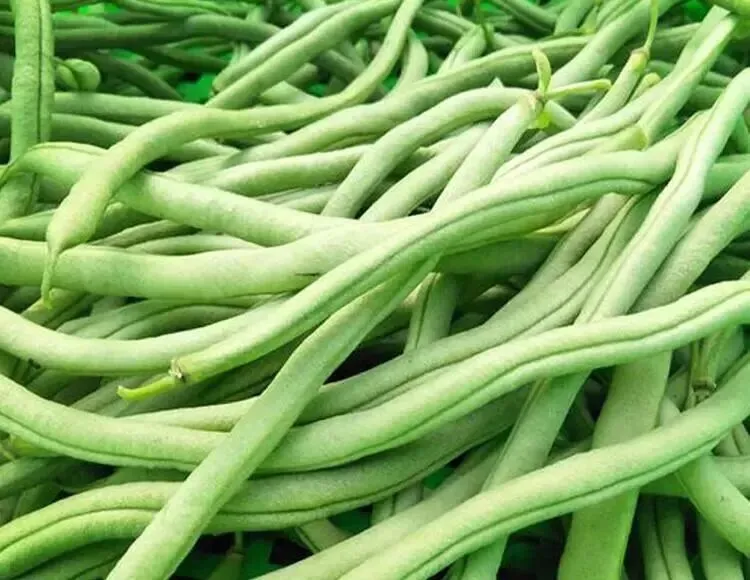 陕西省市场监督管理局关于11批次食品不合格情况的通告(2026年第4期)