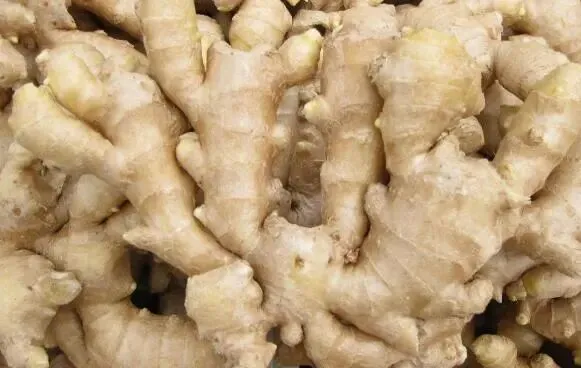 陕西省市场监督管理局关于11批次食品不合格情况的通告(2026年第4期)