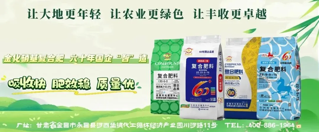 测土配肥定制化!金化集团农化服务激活营销新动能