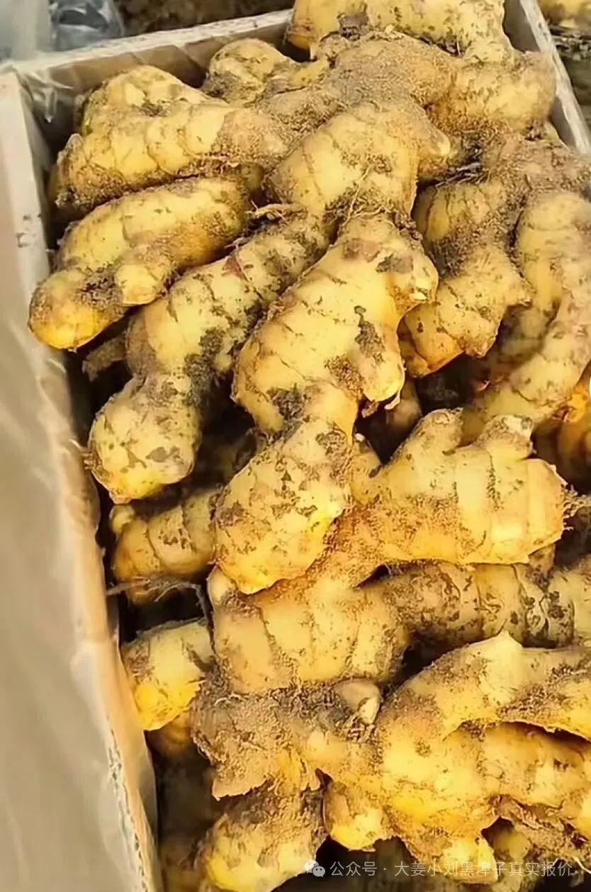 3月18日,黑埠子市场不多,下货速度不快,好货少,次货多