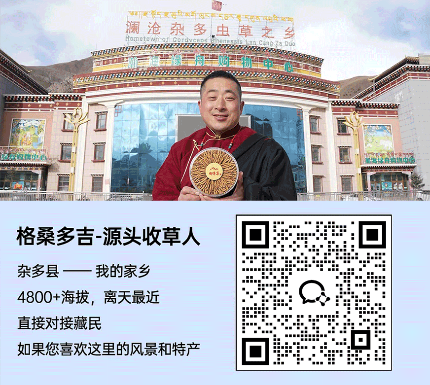 崩了!虫草市场暴雷了