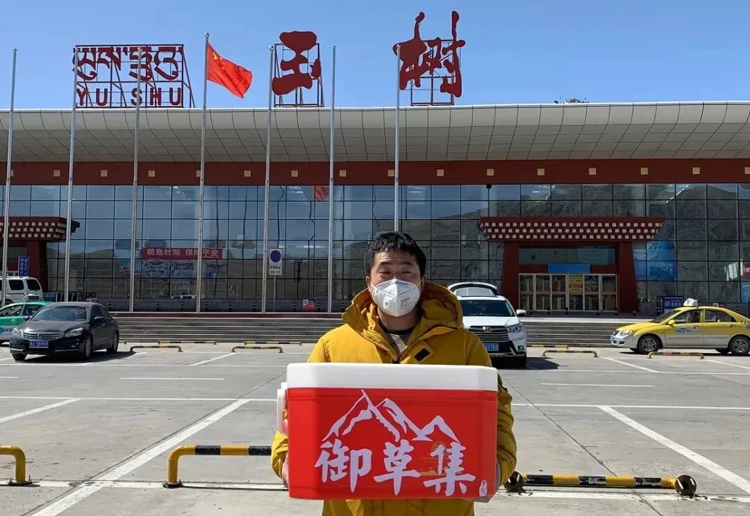 崩了!虫草市场暴雷了