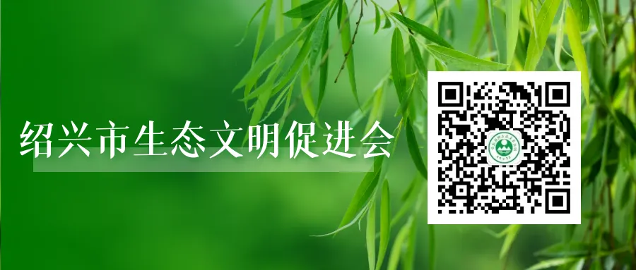 企业闯荡国际市场有了“绿色标尺” 绍兴率先建成工业园区碳足迹本地化数据库