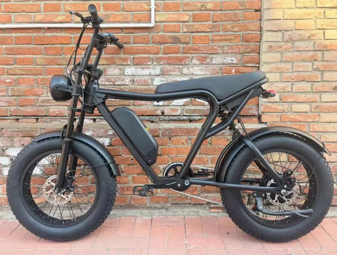 欧洲E-bike市场升温