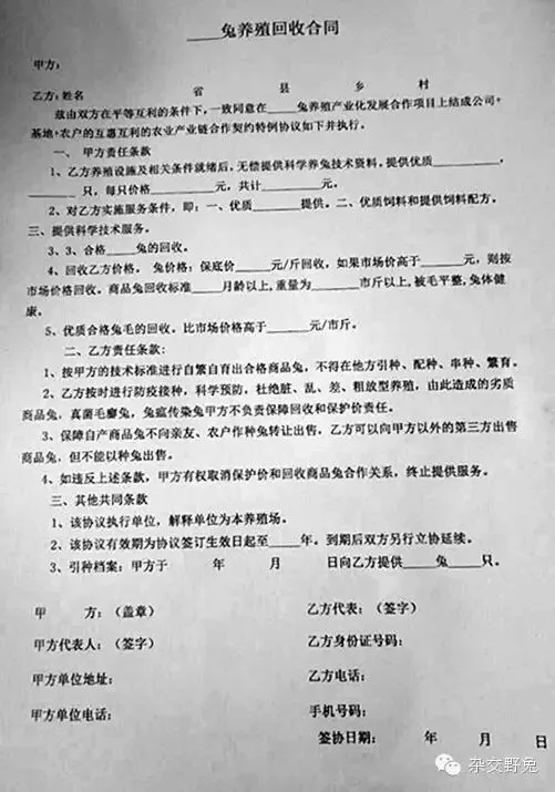 肉兔的市场价格养殖肉兔100只年利润肉兔苗批发肉兔养殖什么品种好
