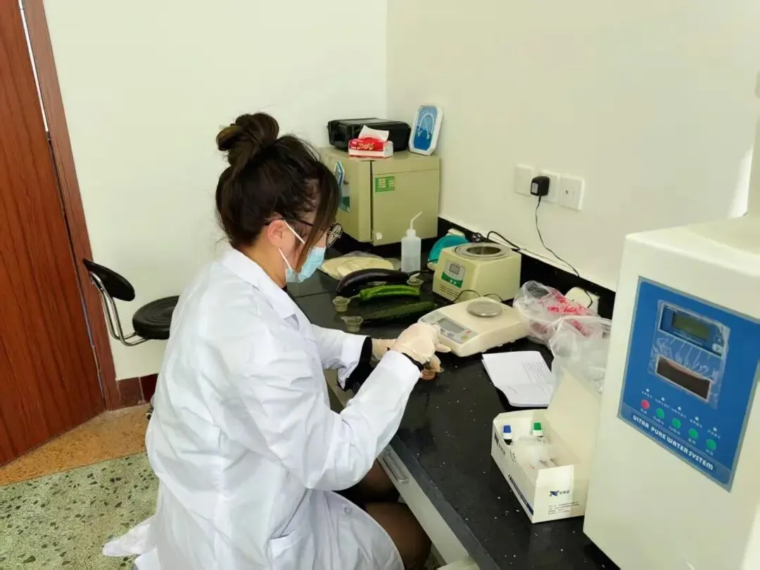 “龙抬头”遇上“市监蓝”丨东港市市场监管局开展节令食品专项快检行动