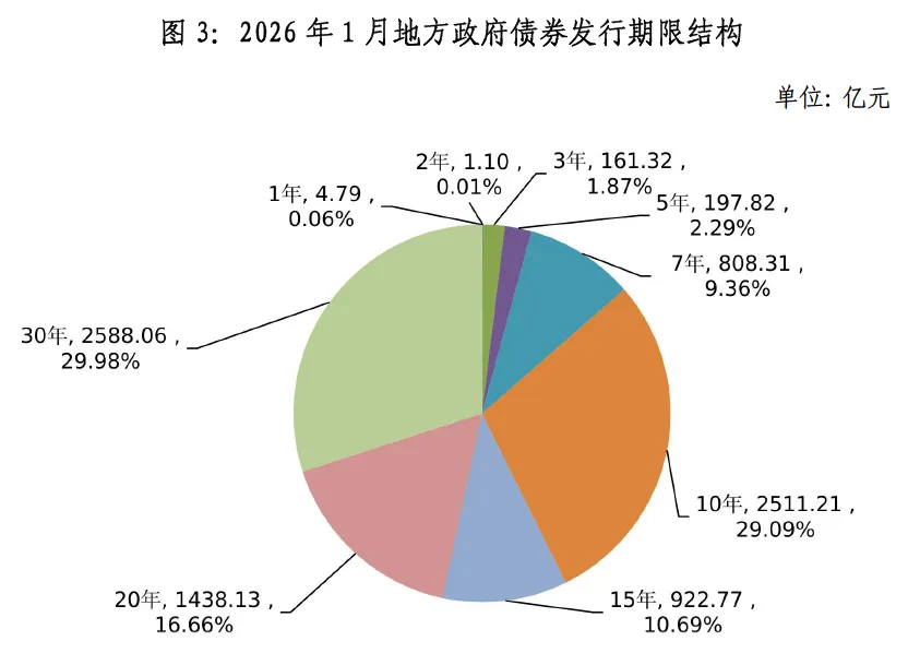 地方政府债券市场报告(2026年1月)