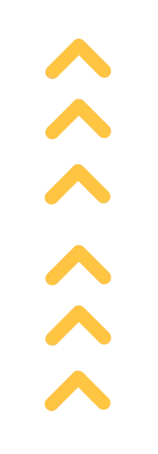 实践塑核心 铸星育人才|国网福建营销服务中心青年员工岗位实践工作正式启动