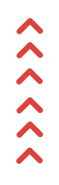 实践塑核心 铸星育人才|国网福建营销服务中心青年员工岗位实践工作正式启动