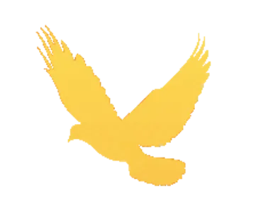 实践塑核心 铸星育人才|国网福建营销服务中心青年员工岗位实践工作正式启动