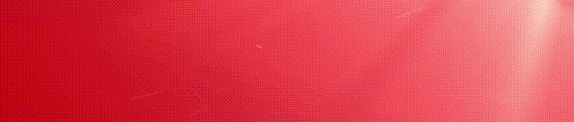 【先进个人】市场销售部姚琳莉:以实干赴使命,用业绩写担当