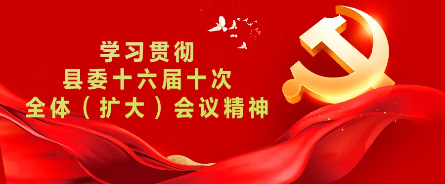 守护乡村“药箱子”——凤县市场监督管理局全面开展农村药品质量安全专项治理