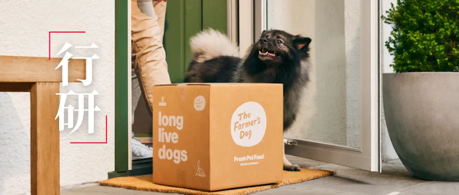 超级碗广告背后,是TFD用情感营销锁定用户的商业逻辑