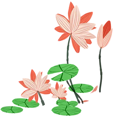 凭祥首柜“一平台三市场”业务成功落地 边贸新模式助力兴边富民