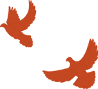 青年突击冲在前 旺季营销勇争先 | 恒丰银行苏州分行青年突击队攻坚实干显担当之对公特辑