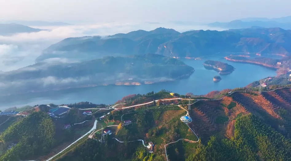 桃岭乡:以“小营地”撬动乡村旅游“大市场”