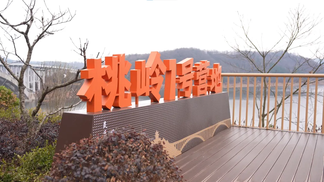 桃岭乡:以“小营地”撬动乡村旅游“大市场”