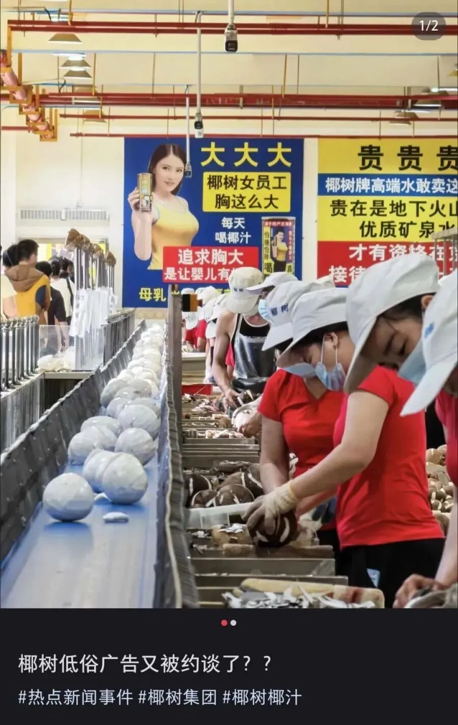 某树集团的“擦边”营销再翻车