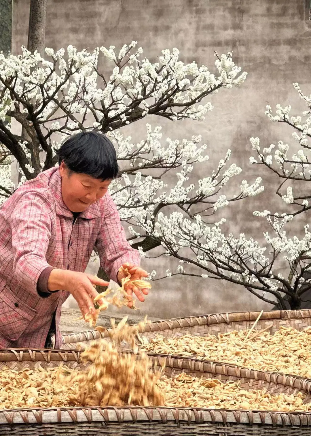 网球教练市场迎来“洗牌期”:从“草莽红利”到“专业为王”