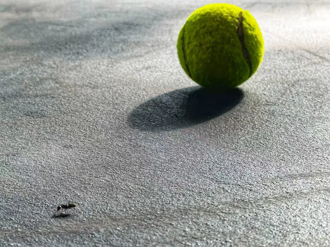 网球教练市场迎来“洗牌期”:从“草莽红利”到“专业为王”