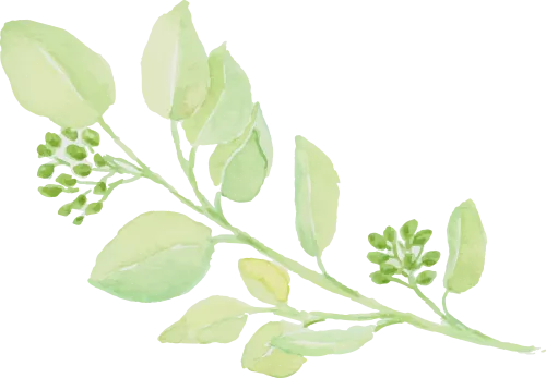 【郑州旅院数字经济学院】市场营销专业走访河南万酷商贸有限公司