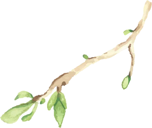 【郑州旅院数字经济学院】市场营销专业走访河南万酷商贸有限公司