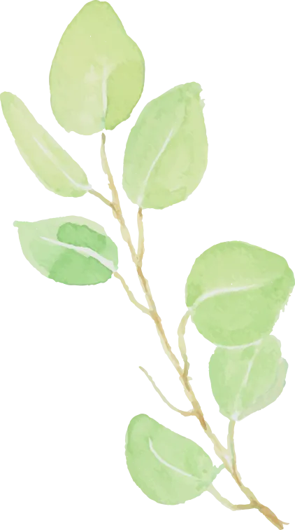 【郑州旅院数字经济学院】市场营销专业走访河南万酷商贸有限公司