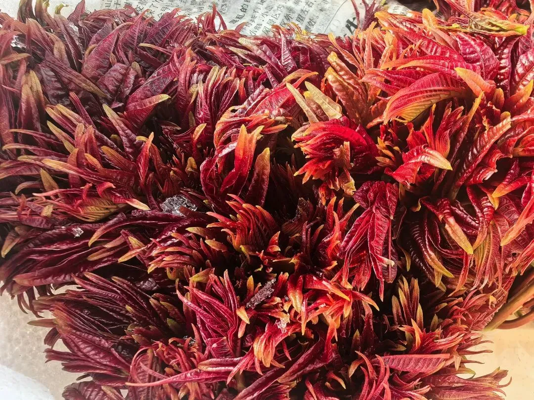 【市场动态】新发地春日鲜味正当时 春季时令菜抢鲜到