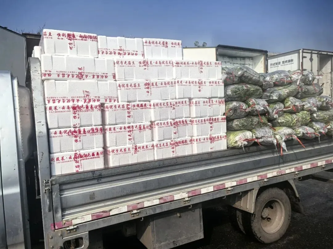 【市场动态】新发地春日鲜味正当时 春季时令菜抢鲜到