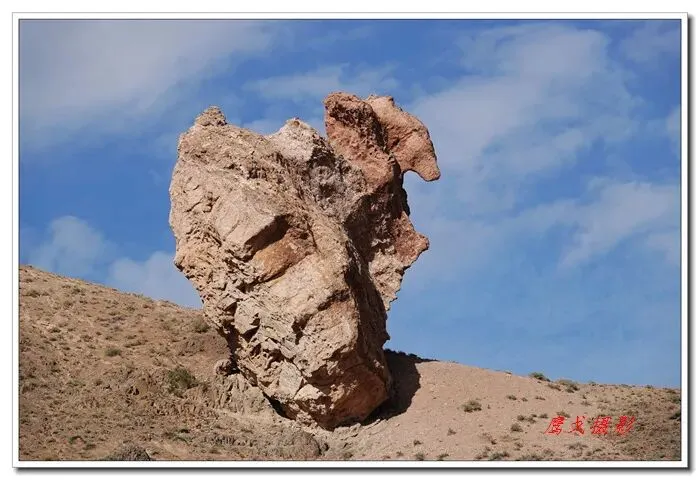 市场需守公平道 百姓常存避坑心